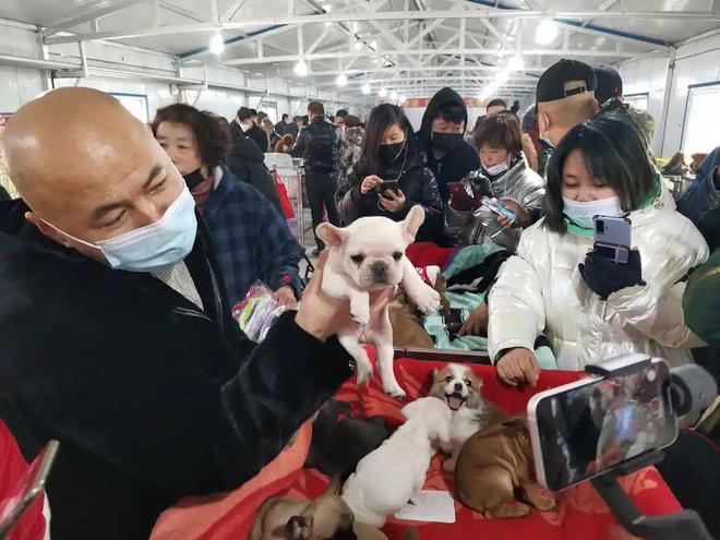 不出意外的线月起国内会迎来五大趋势AG真人平台app建议大家早做准备(图14)